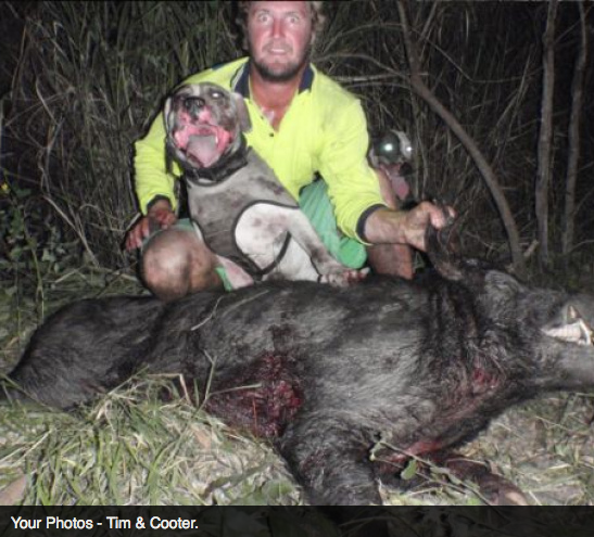 Screen Shot 2013-10-02 at 1.41.22 PM